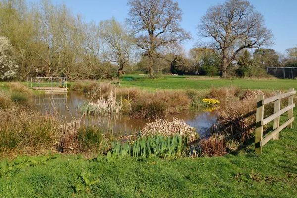 The existing groundwater pond at Pinn Meadows, Ruislip, edged with reeds and a timber fence, with trees and open grass behind